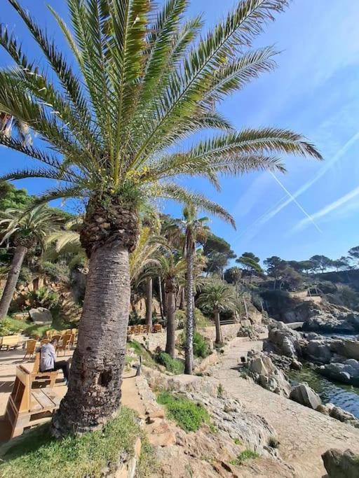 Apartamento Loft, Lloret De Mar Exteriör bild