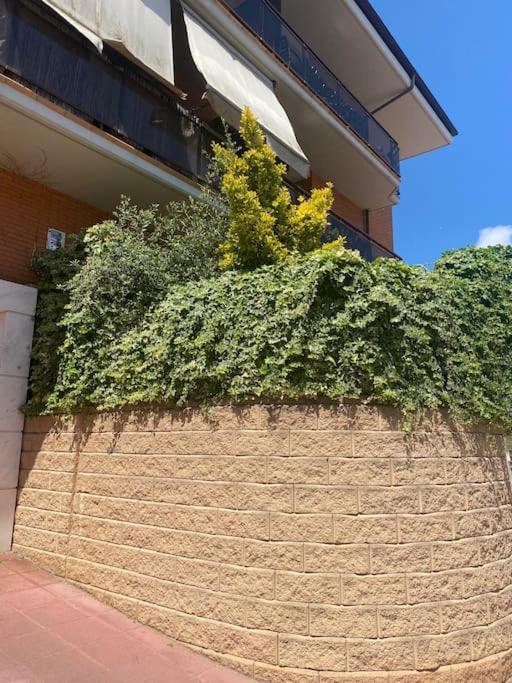 Apartamento Loft, Lloret De Mar Exteriör bild